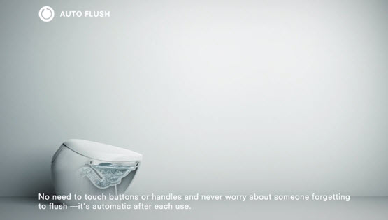 AUTO FLUSH