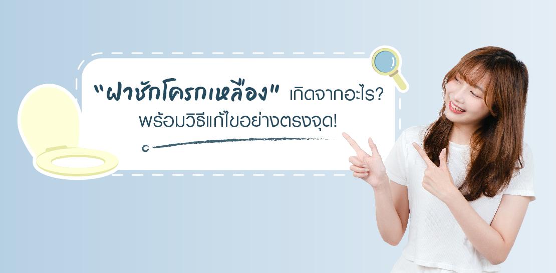ฝาชักโครกเหลืองเกิดจากอะไร อธิบายแบบครบจบในที่เดียว